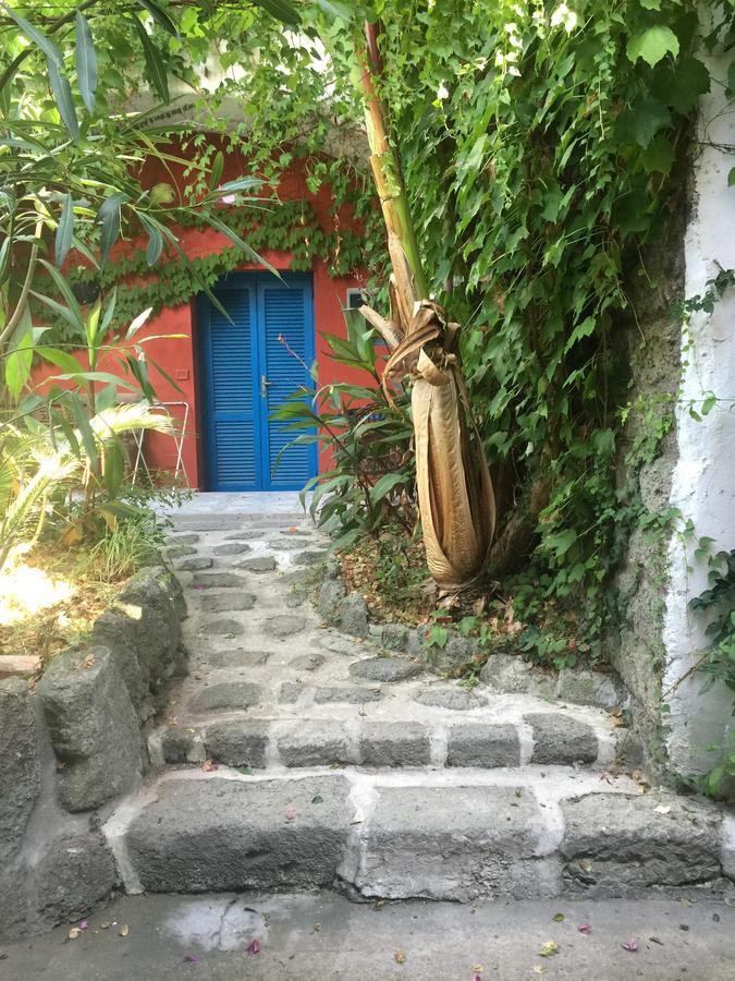 Scheria B&B Ischia Island 외부 사진